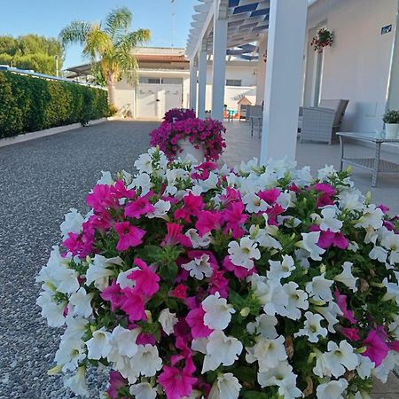 Blu D'Amare B&B Porto Cesareo Kültér fotó