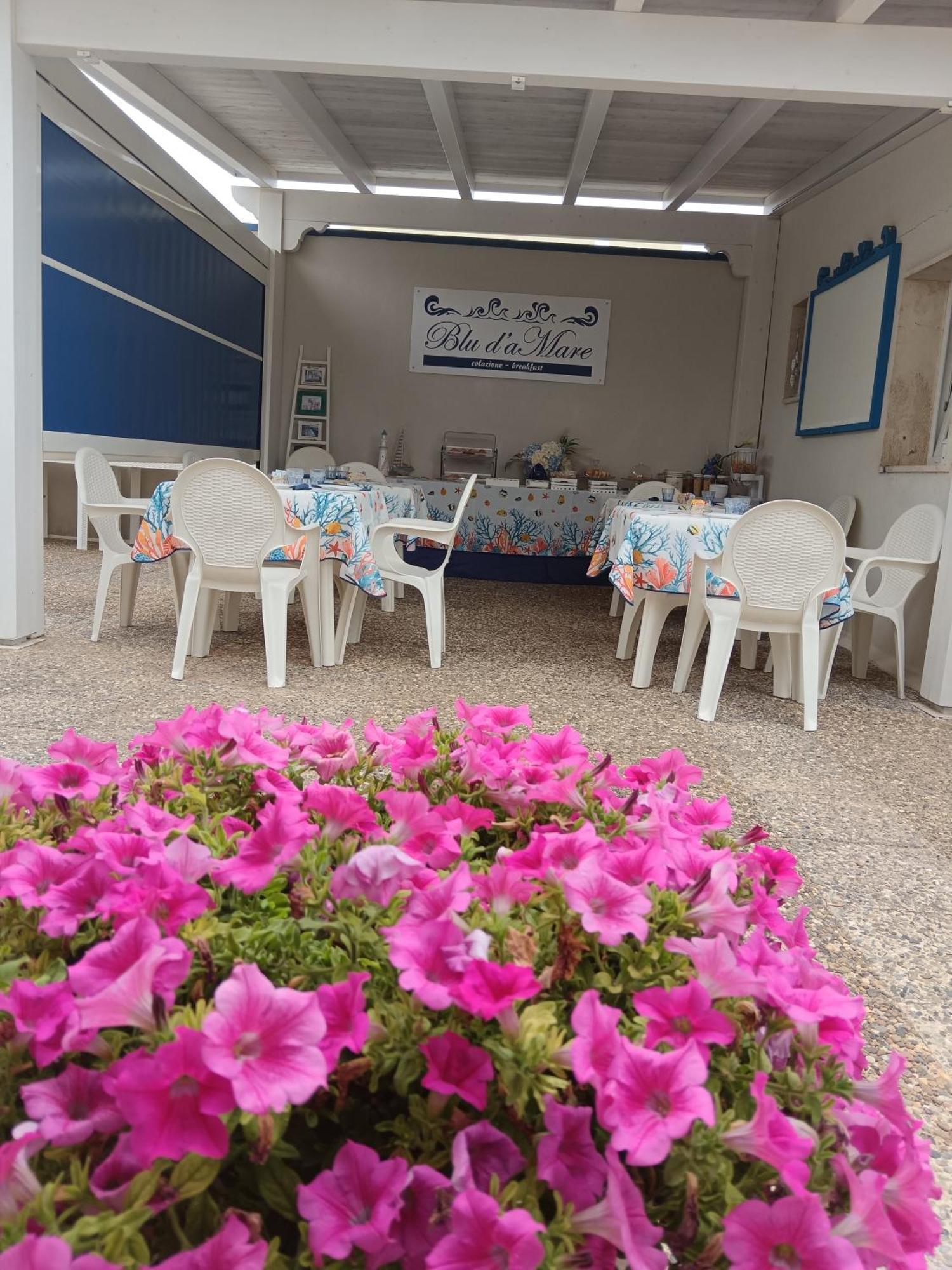 Blu D'Amare B&B Porto Cesareo Kültér fotó