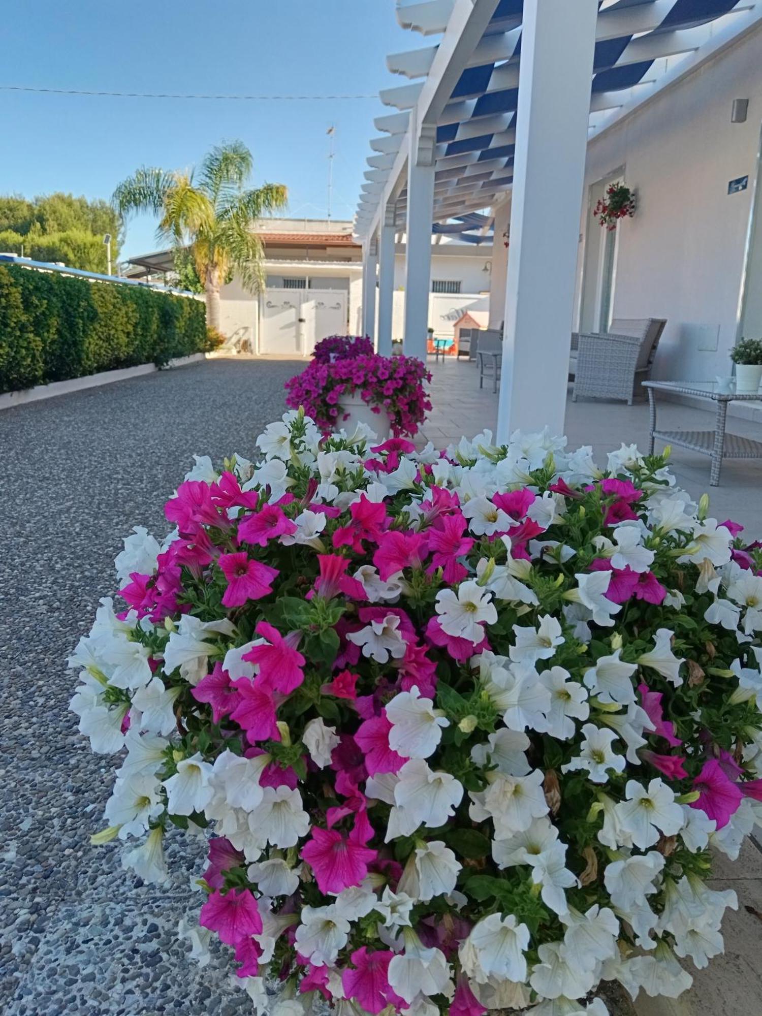 Blu D'Amare B&B Porto Cesareo Kültér fotó