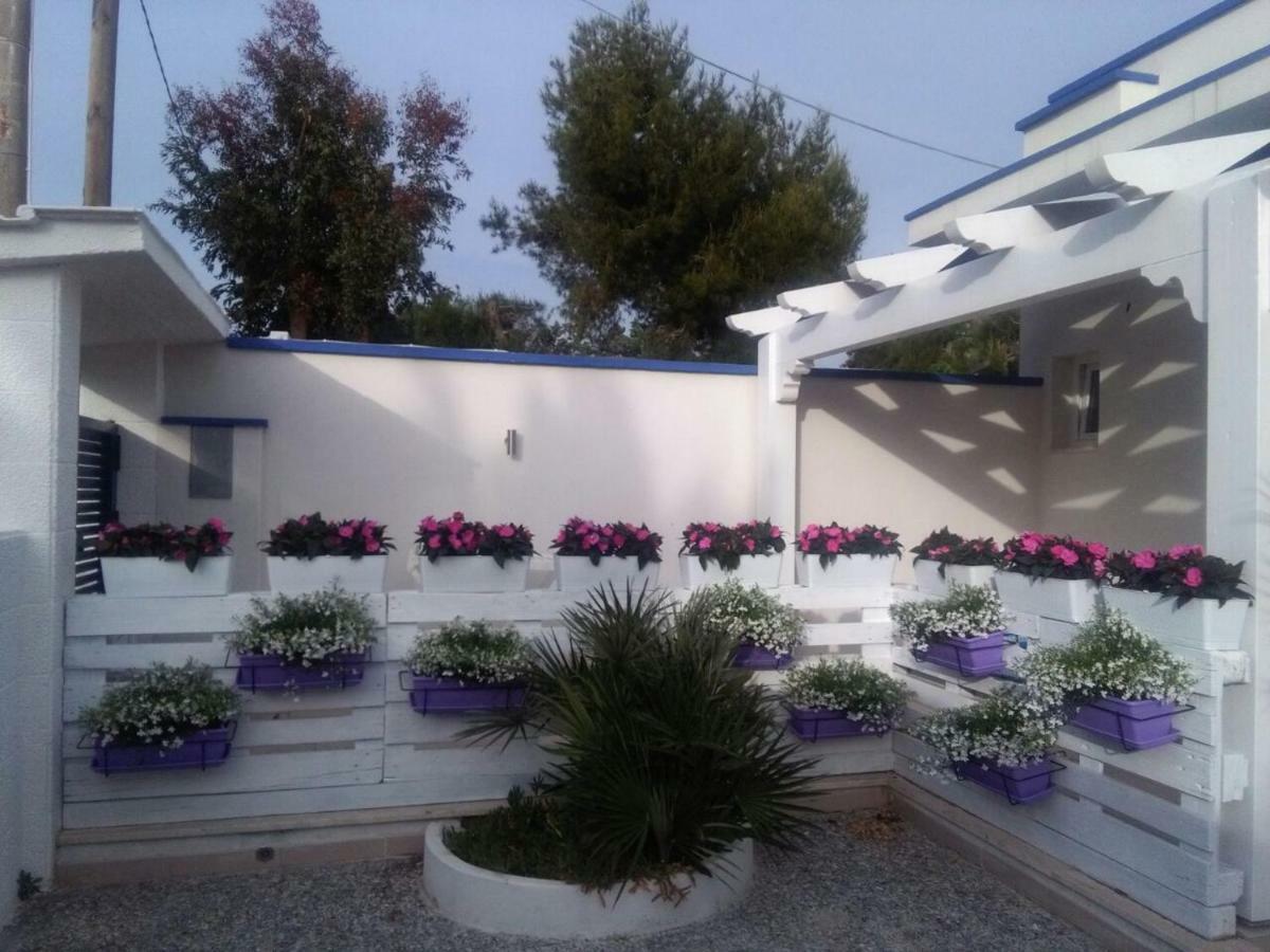 Blu D'Amare B&B Porto Cesareo Kültér fotó